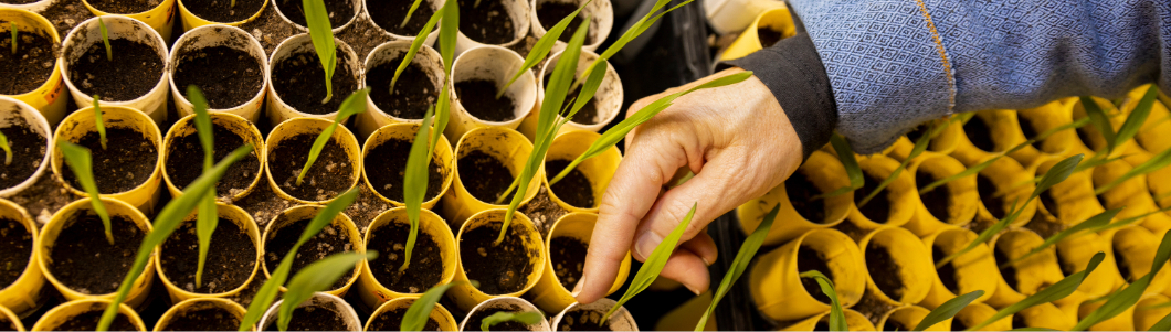 plant biology