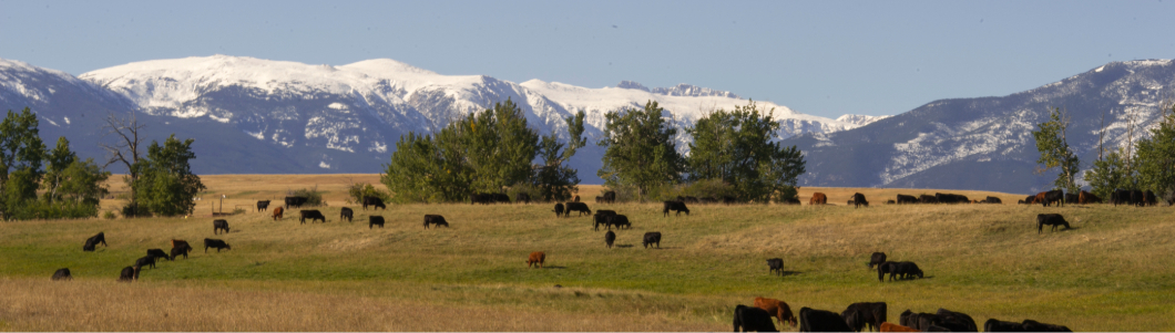 rangeland