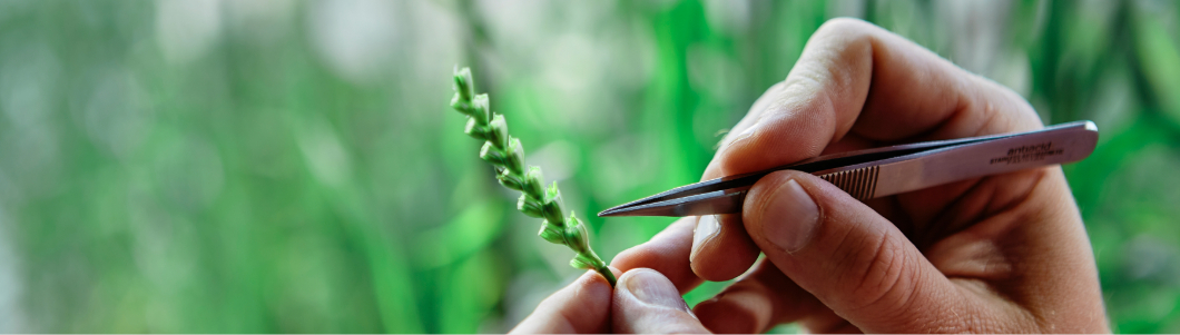 crop science