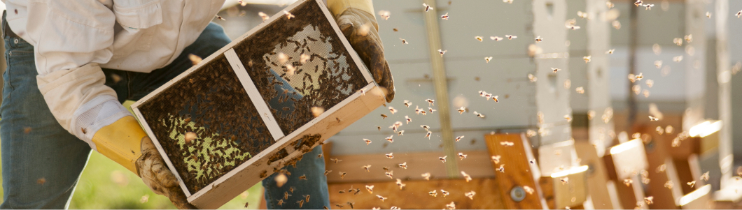 Entomology