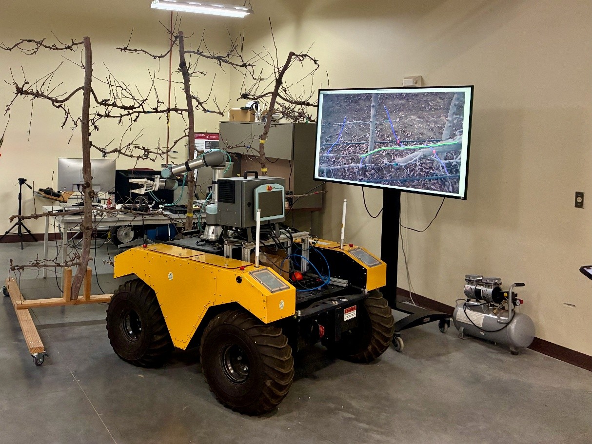 Agricultural Robot Trimming Apple Trees