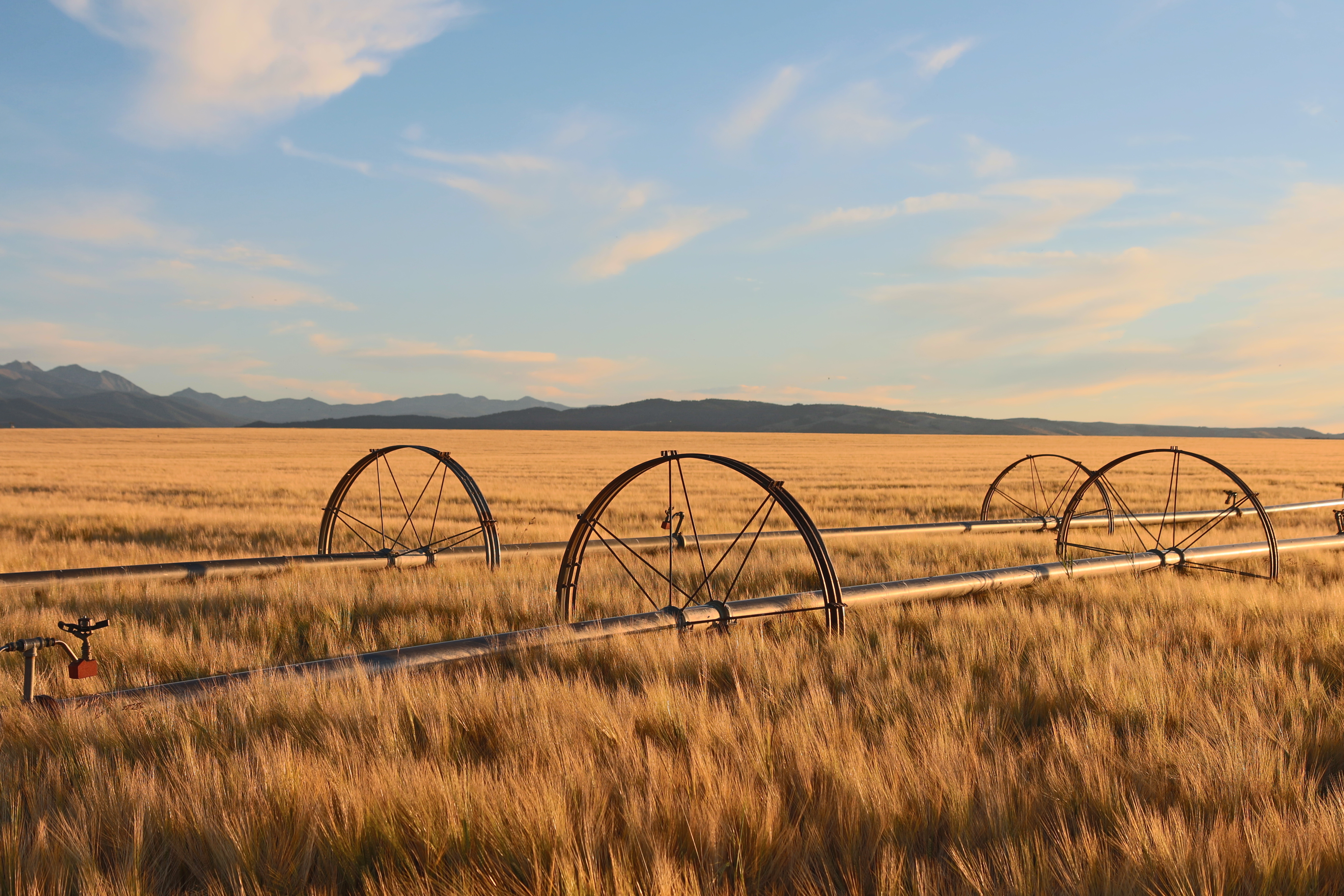 Montana Agriculture with Irrigated Field 