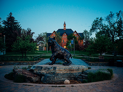 Champ The Bobcat Statue
