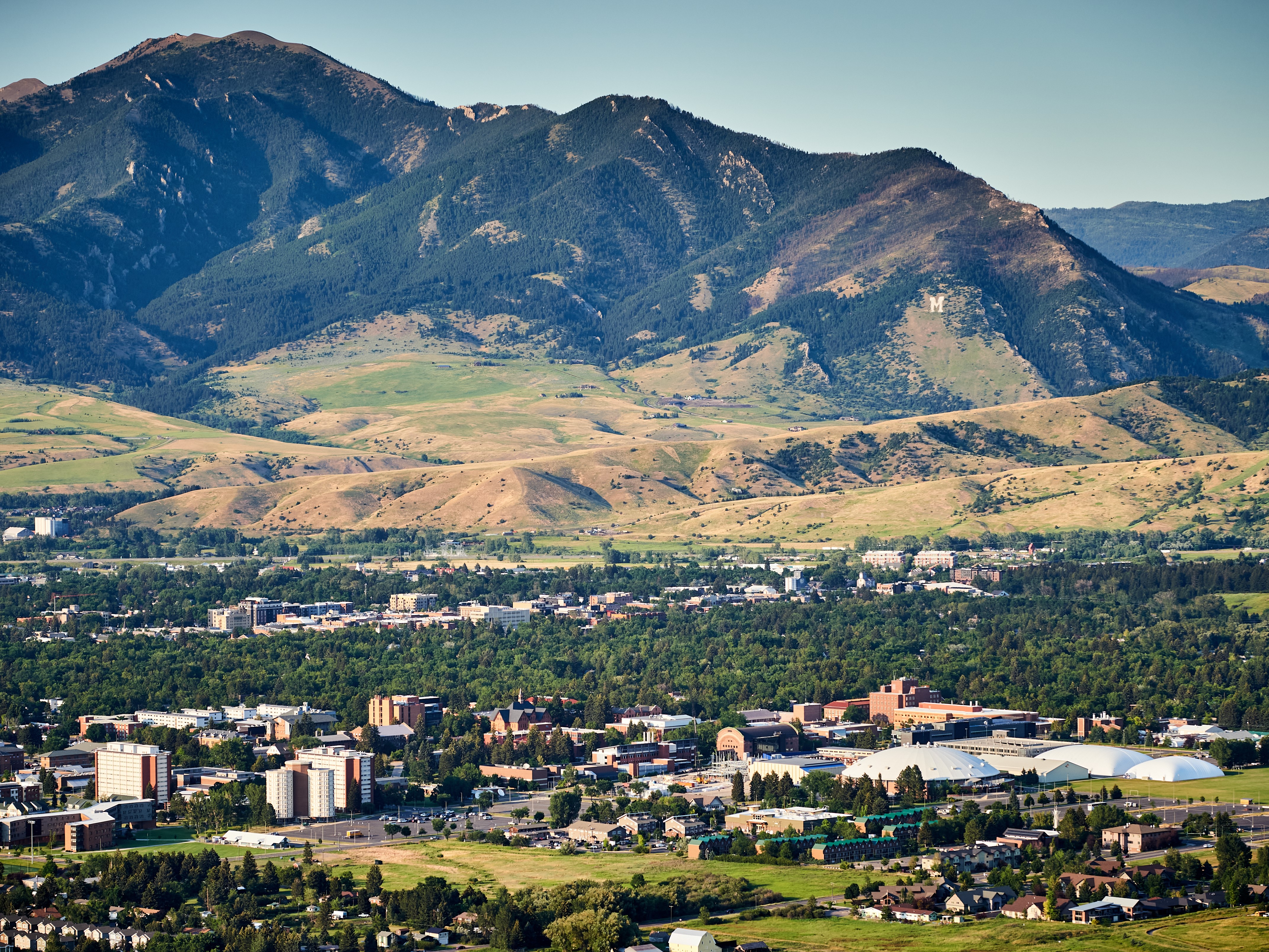 Fees