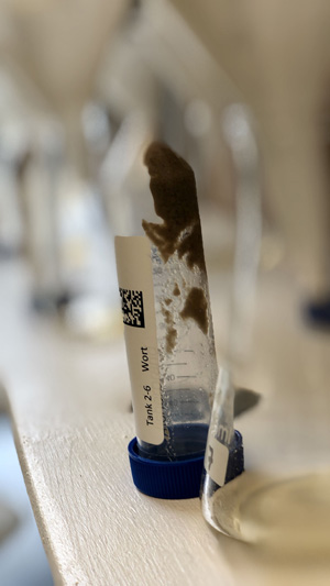 Pico malting test Tube