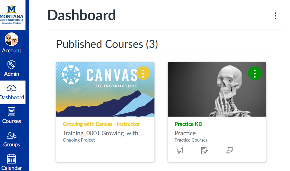 Canvas dashboard with two course cards