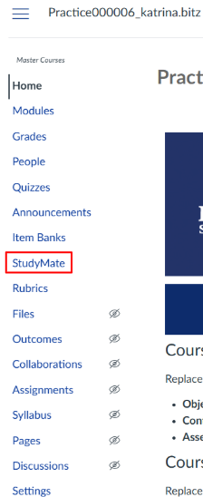 studymate in course navigation outlined in red