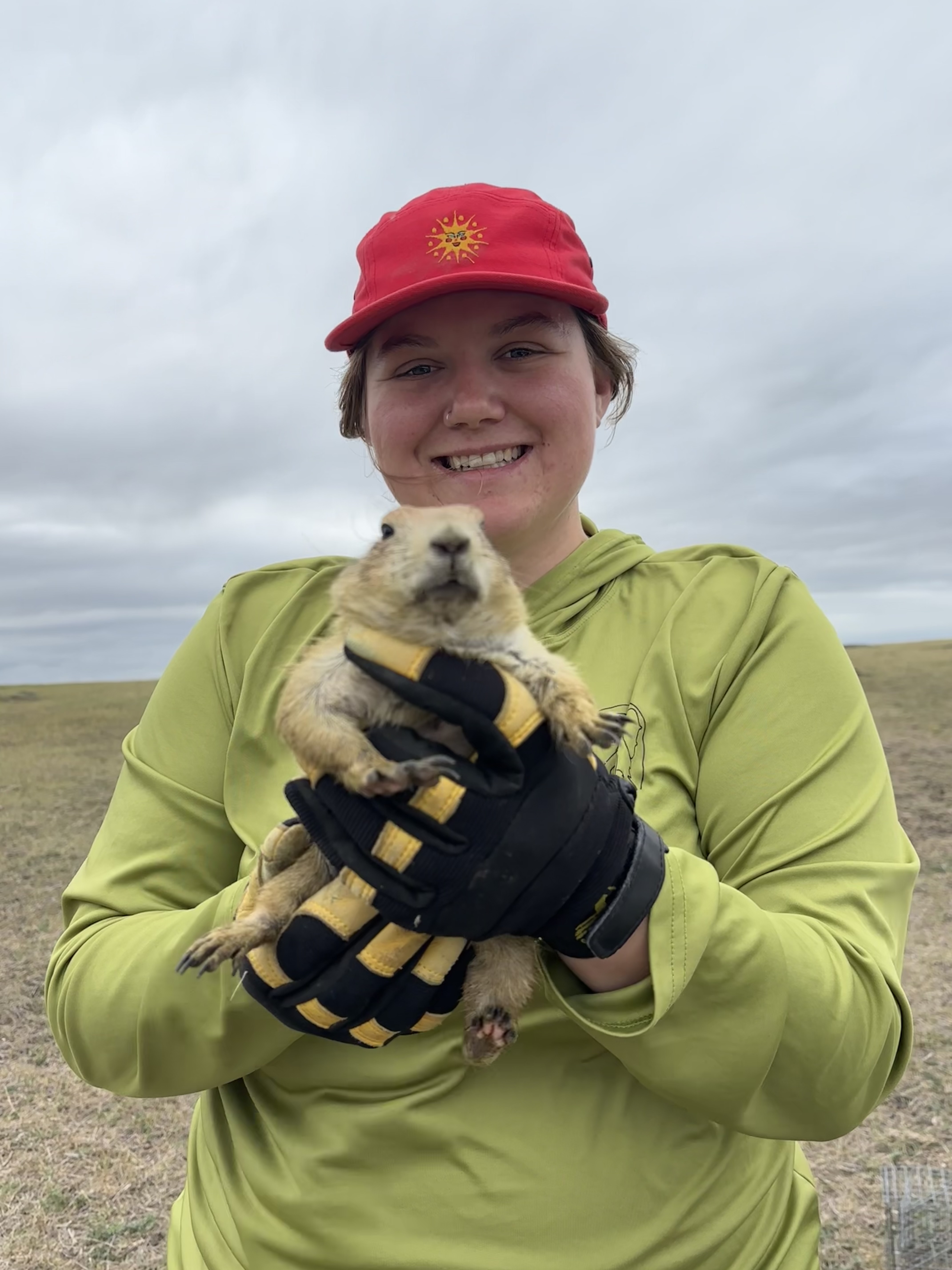 Ashlyn Hemmah Ashlyn Hemmah