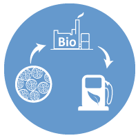Energy Biotechnologies Energy Biotechnologies