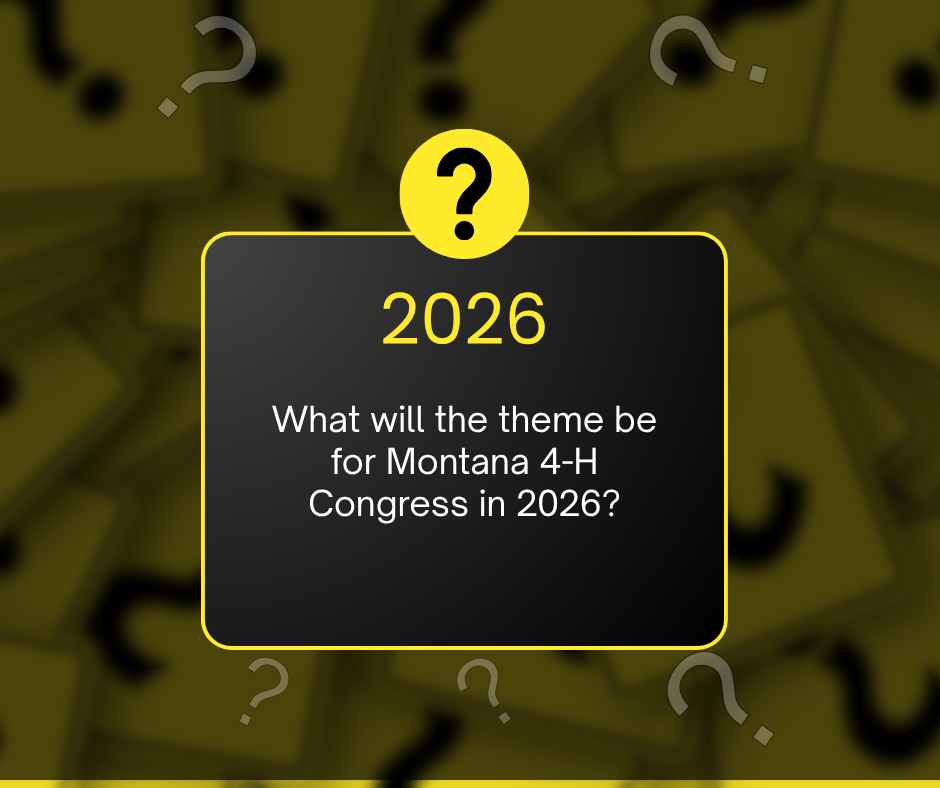 what will the theme be for 2026?