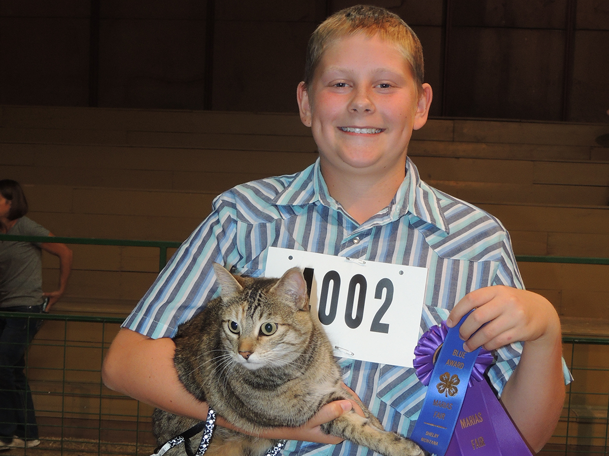 4-H member holding a cat 