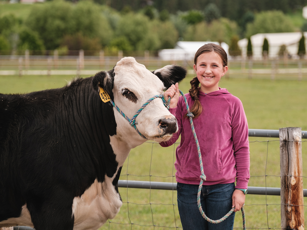 4-H member with a dairy cow