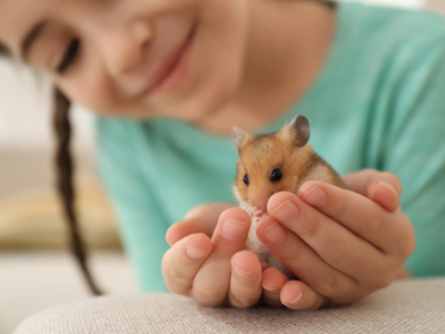 Girl holding a hamster