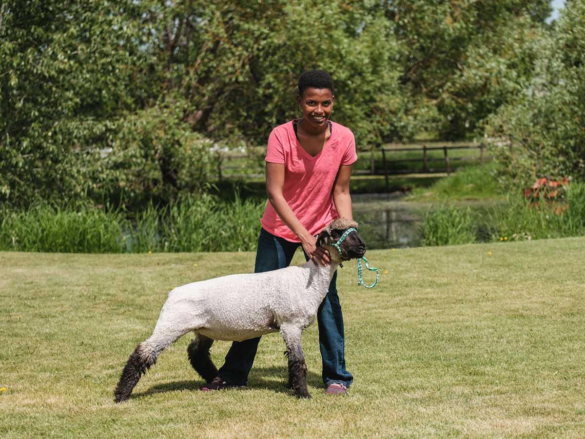 4-H member posing with a sheep