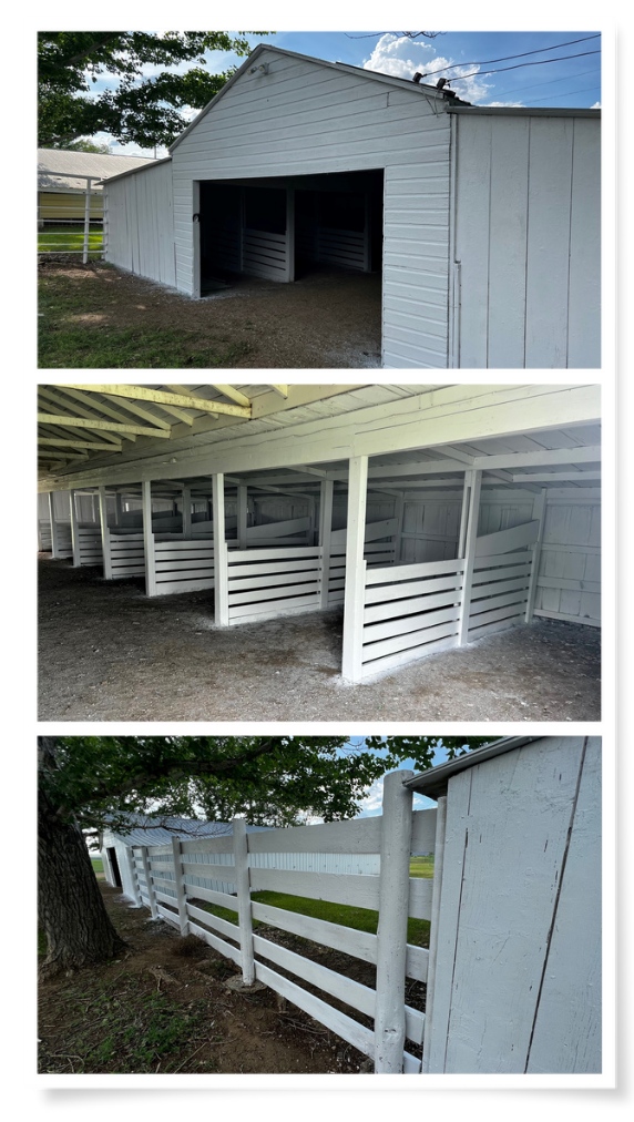 Freshly painted county barns.