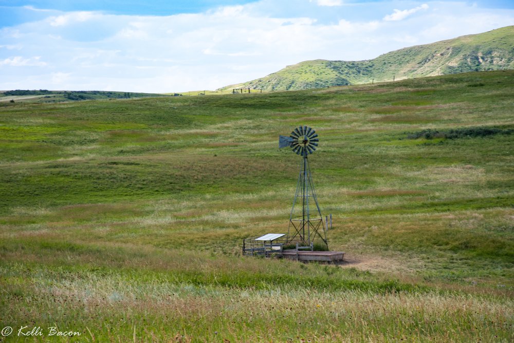 Livestock Well in Wibaux County