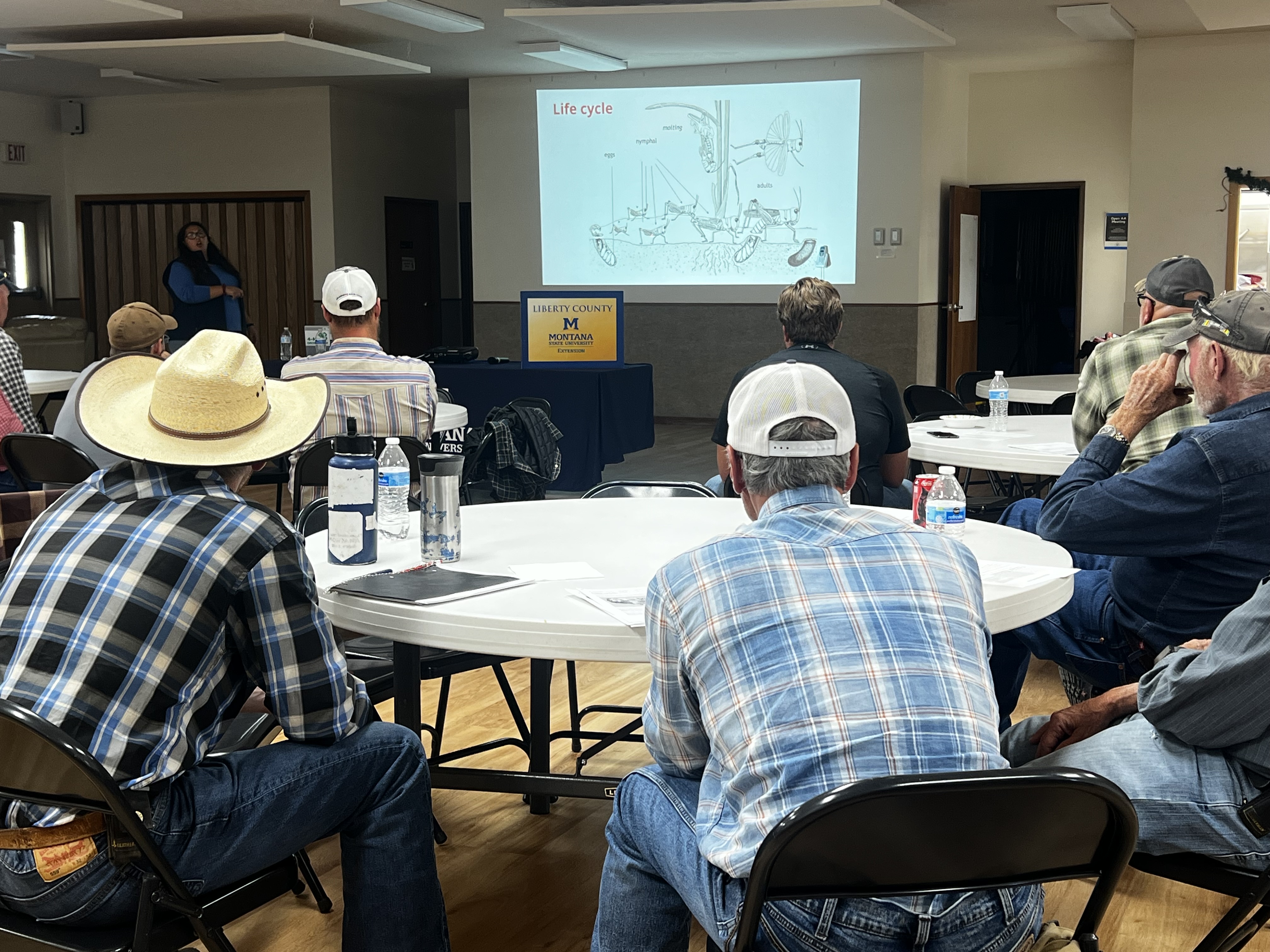 Growers gained valuable insights from MSU researchers by attending Extension programming.