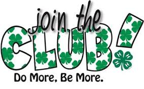 4H Join the club image