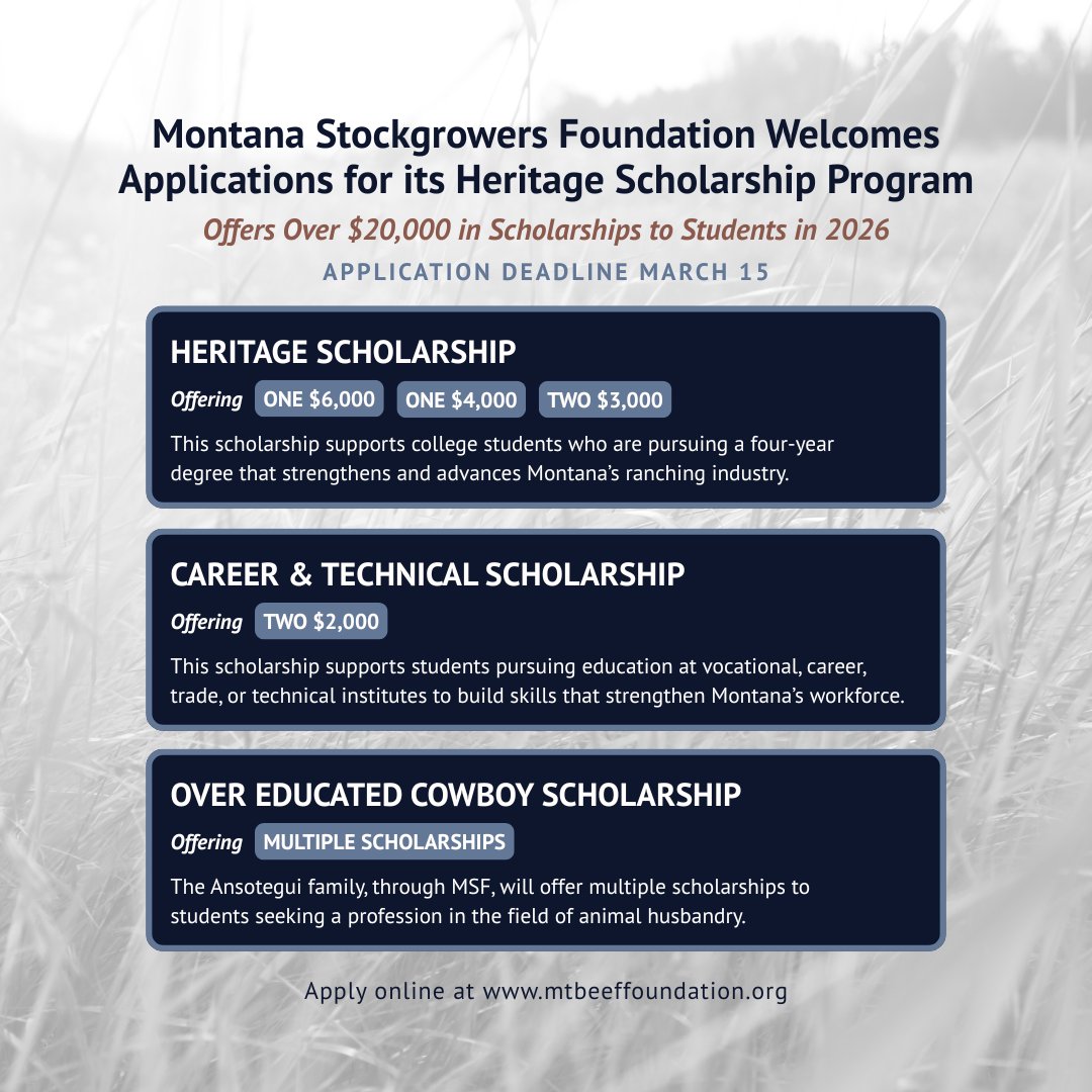 Montana stockgrowers scholarship