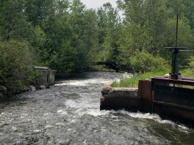 Irrigation ditch feature image A juncture in a creek where water is being diverted to an irrigation ditch