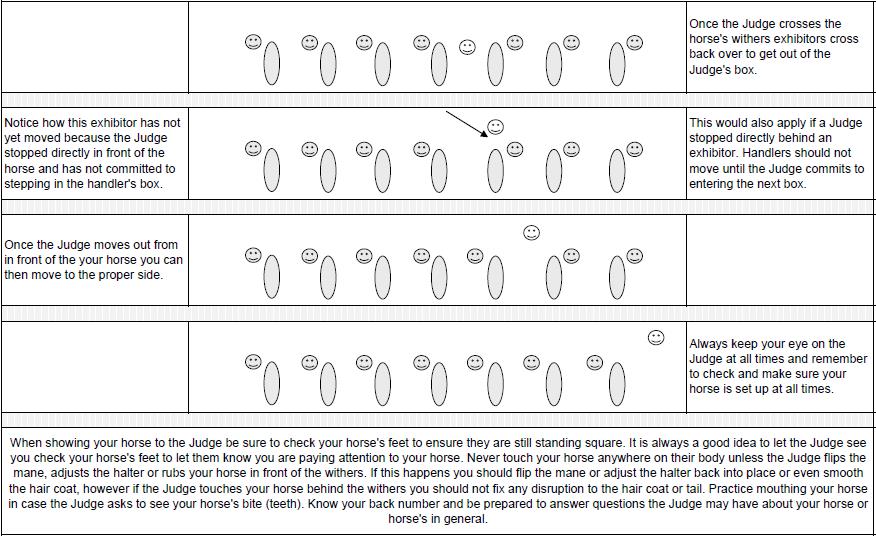 2nd set of examples horse judge moving through line up