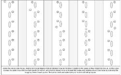 3rd set of examples judge moving through line up