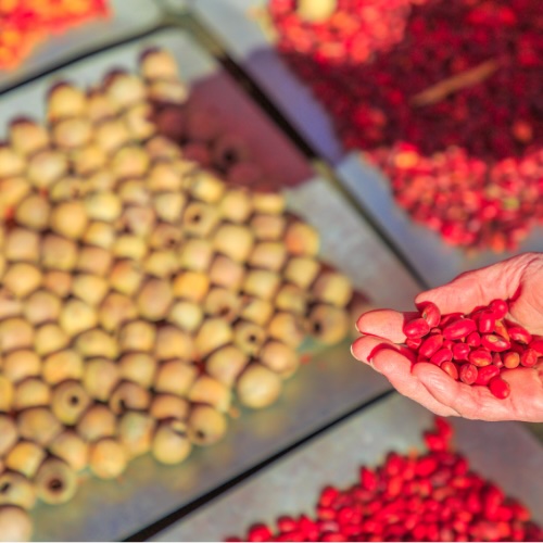 Indigenous Foodways red beans