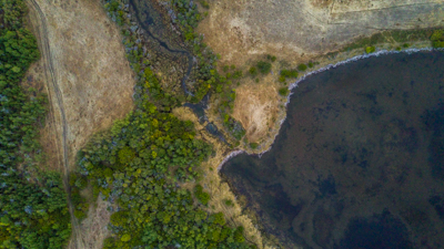 Fen Wetland @ LBWS Fen Wetland @ LBWS