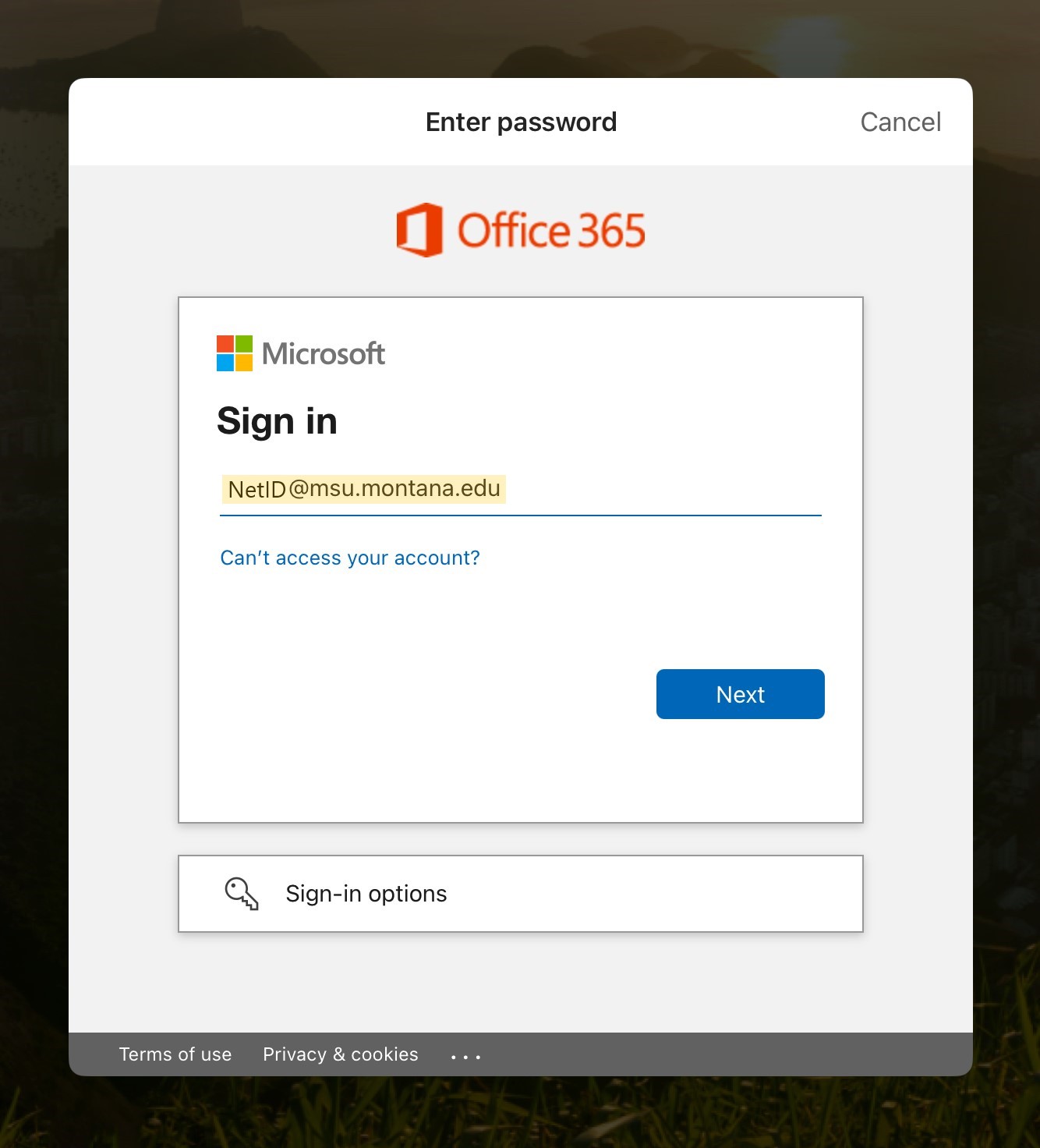 Office.com NetID login page.
