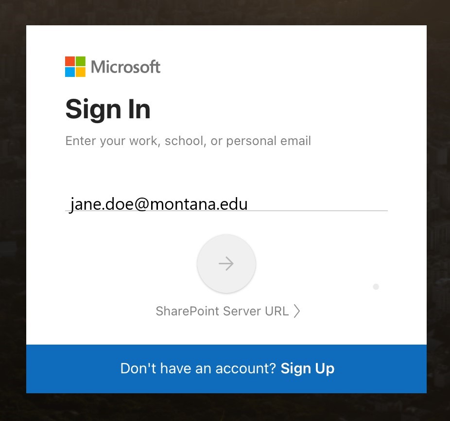 Microsoft 365 login prompt with email.