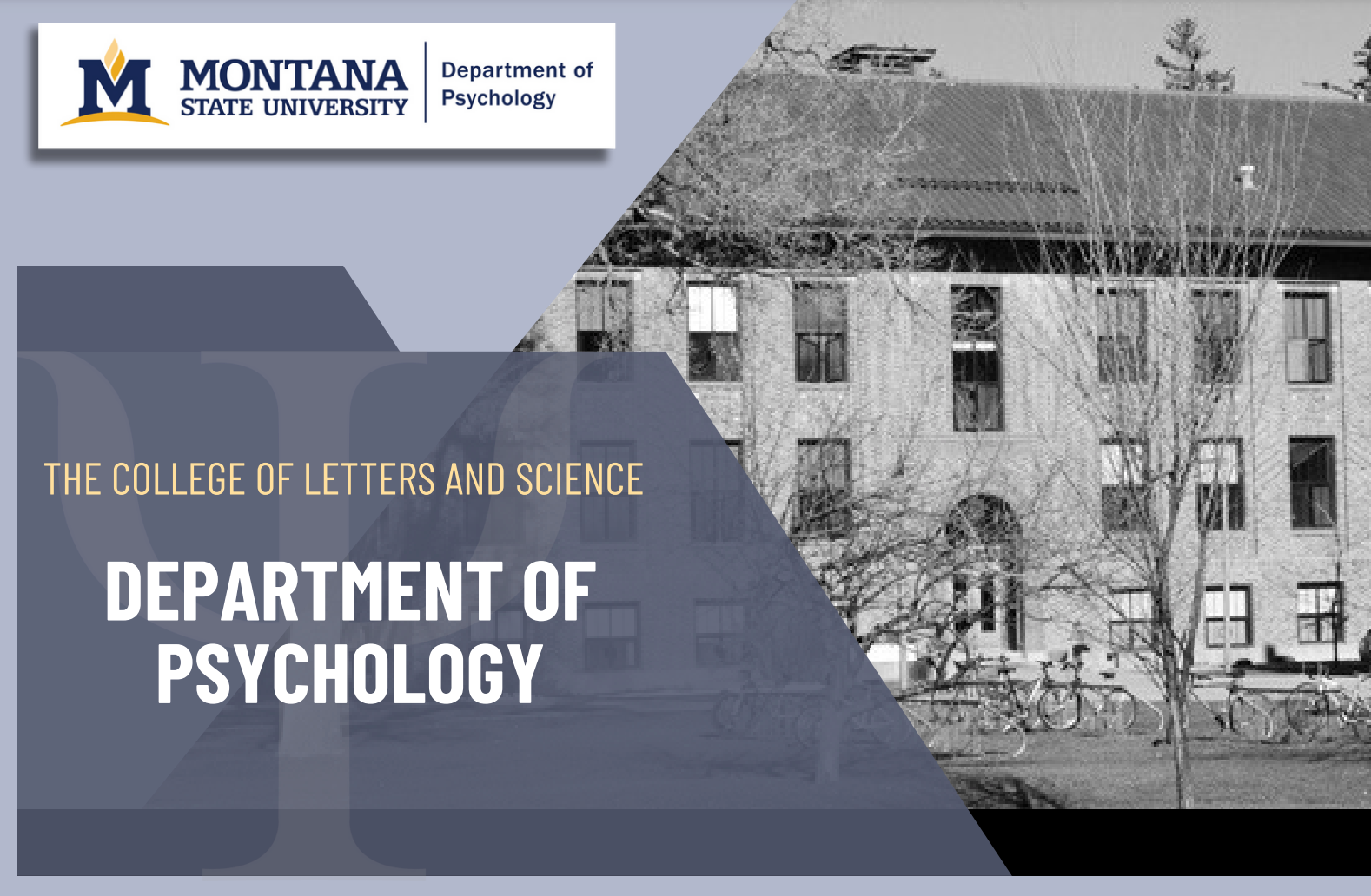 Psychology Program Flier Cover